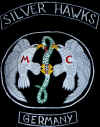 Silver Hawks.JPG (110399 Byte)